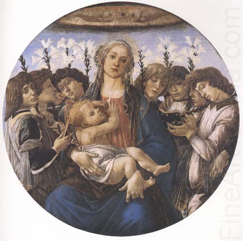 Madonna and child with eight Angels or Raczinskj Tondo, Sandro Botticelli